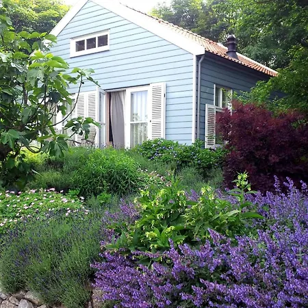 Holiday home Loevesteijn: Coastal Retreat With Garden Terrace Ouddorp