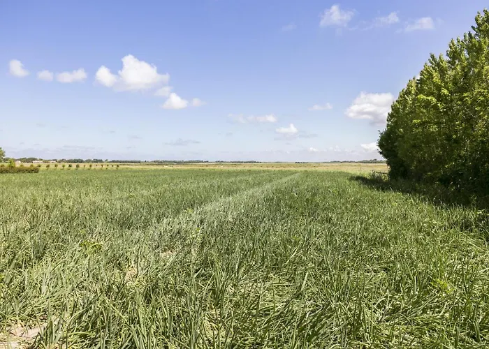 Loevesteijn - Prázdninový dům *