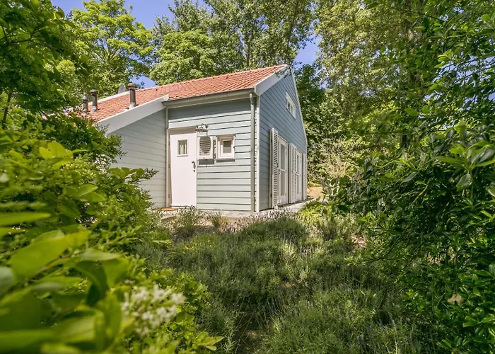 Loevesteijn: Coastal Retreat With Garden Terrace *