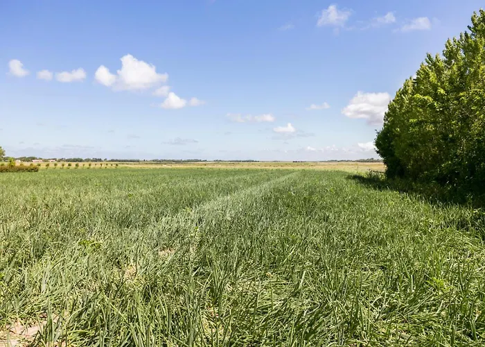 Loevesteijn: Coastal Retreat With Garden Terrace