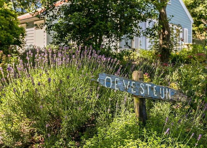 Loevesteijn: Coastal Retreat With Garden Terrace Holiday home