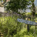 Loevesteijn - *