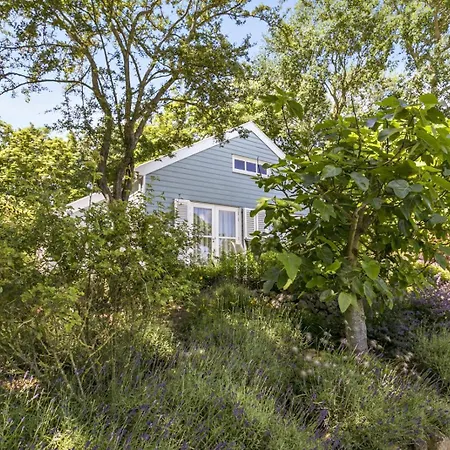 Loevesteijn - Ouddorp