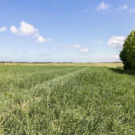 Prázdninový dům Loevesteijn - Ouddorp