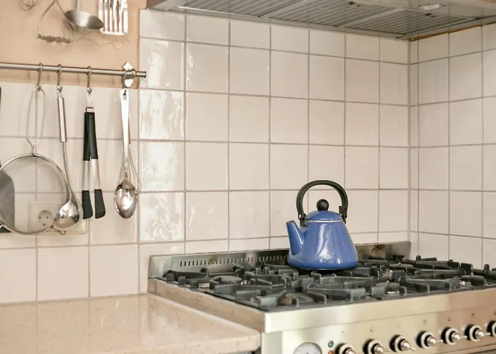 Loevesteijn - * אאודורפ