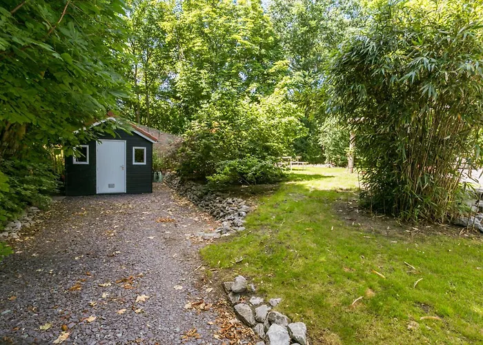 Loevesteijn - * אאודורפ